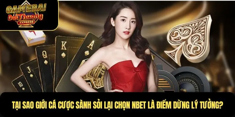 Tại sao giới cá cược sành sỏi lại chọn NBET là điểm dừng lý tưởng?
